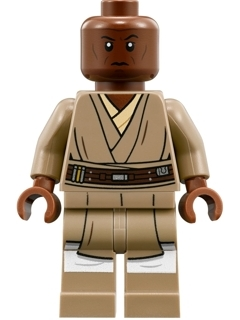sw889